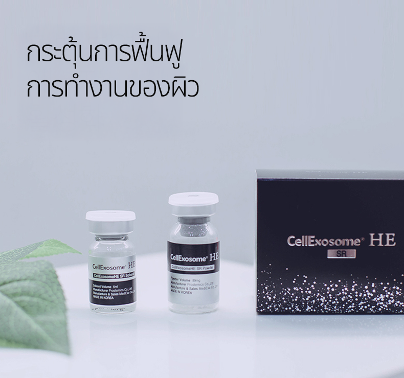 เซลล์เอ็กโซโซม