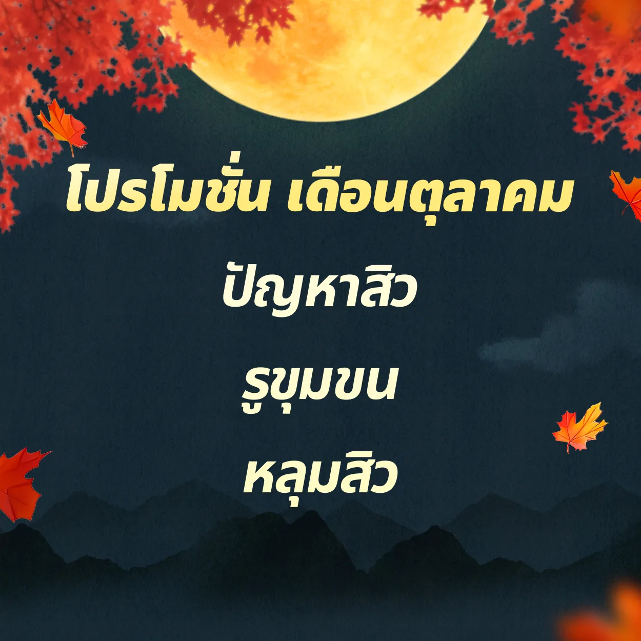 ผิวเป็นสิว | รูขุมขน | หลุมสิว
